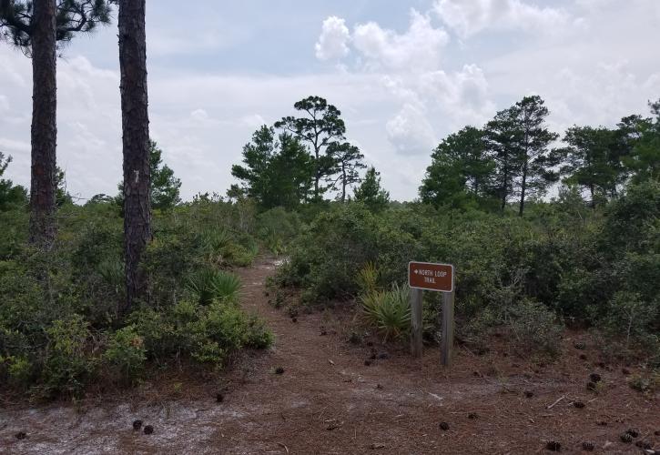  Seabranch Preserve Trail