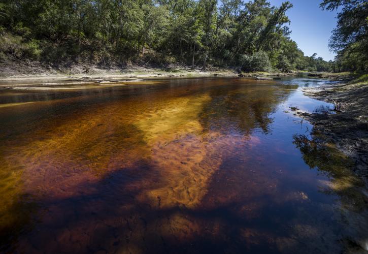 Stephen Foster Suwannee River