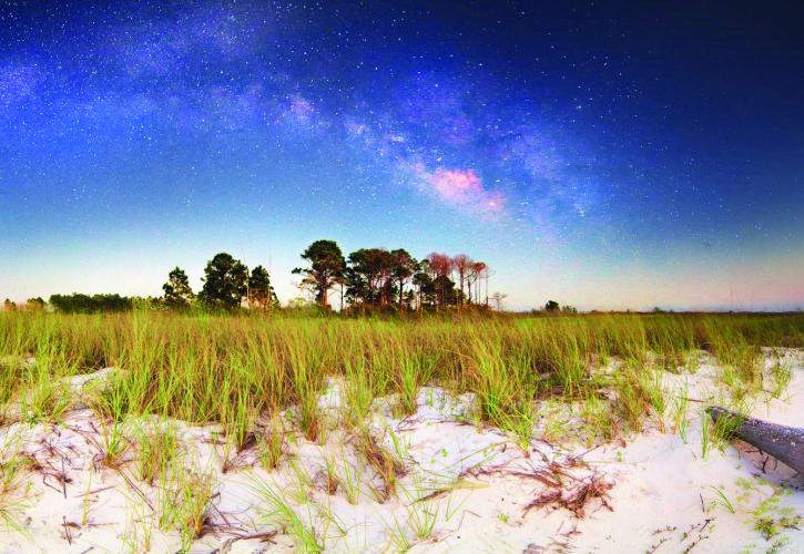 Beach under night sky