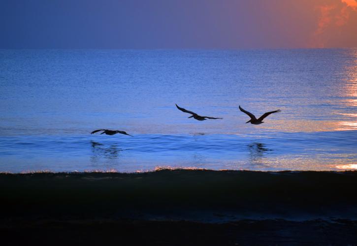 View of ocean at sunset
