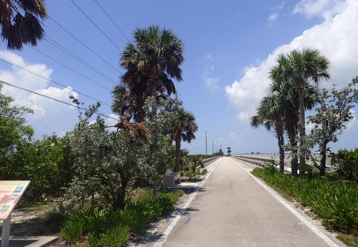 Florida Keys Overseas Heritage - Saddlebunch%20.JPG