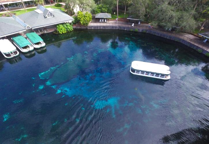 Silver Springs State Park Florida State Parks