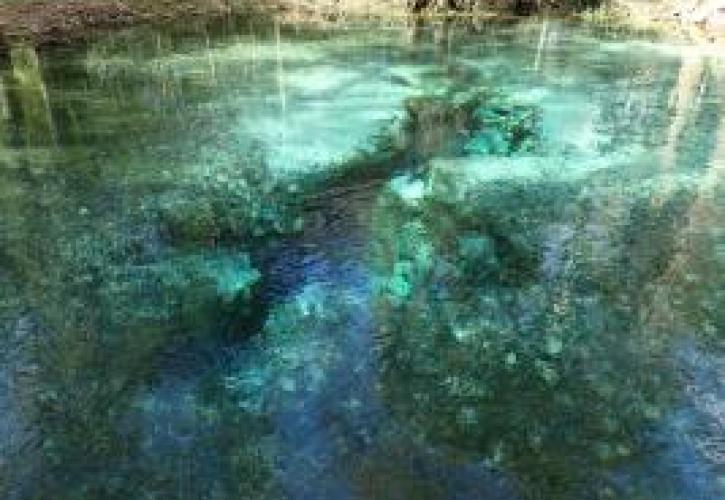 Snorkeling at Gilchrist Blue Springs State Park