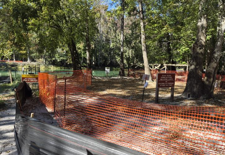 Spring entry renovations