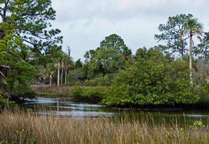 Werner-Boyce Paddle Trail