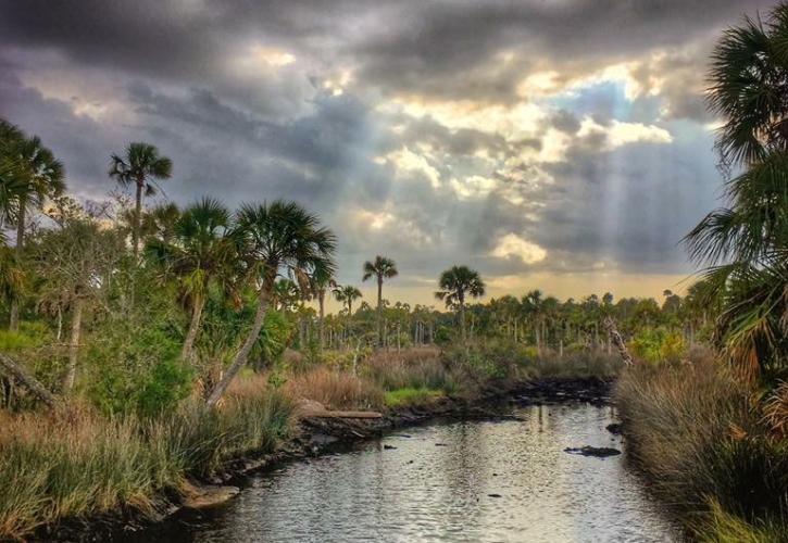 Rays of sunshine peek through the clouds over the St. Marks River.