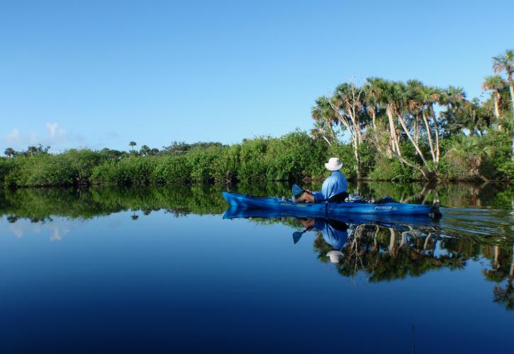 Kayak