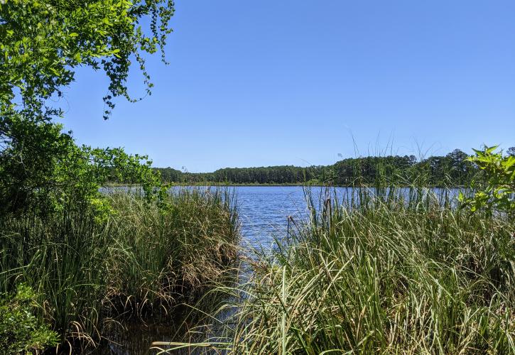 Corn Landing Lake at the Bluffs of St. Teresa