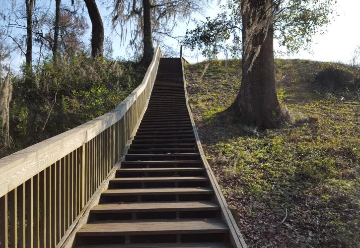 Staircase to Big Mound at Lake Jackson Mounds Archaeological State Park