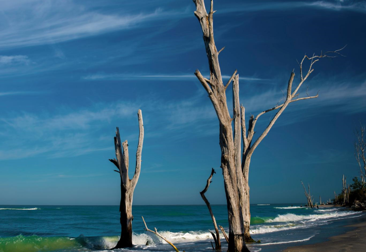 Stump Pass Beach 1