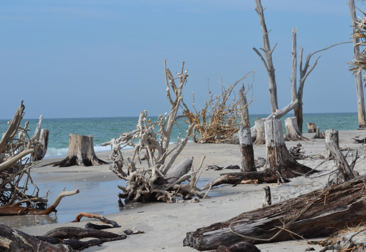 Blind Pass Beach Tide Chart