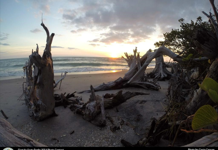 Stump Pass Beach 3