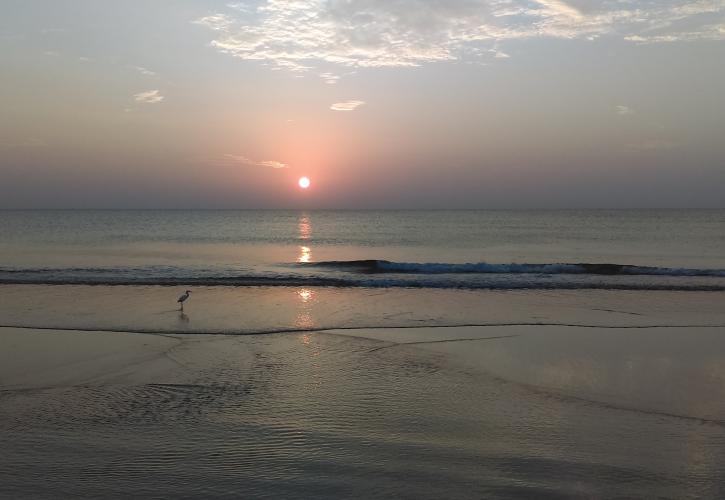 North Peninsula Sunrise