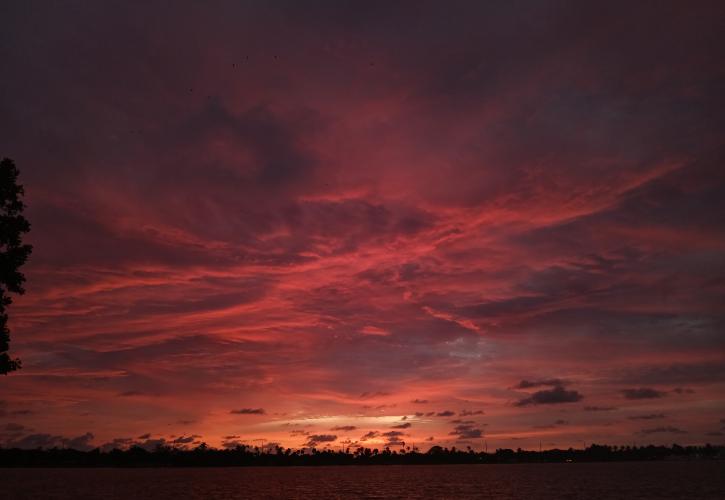 Sunset and a white ibis.