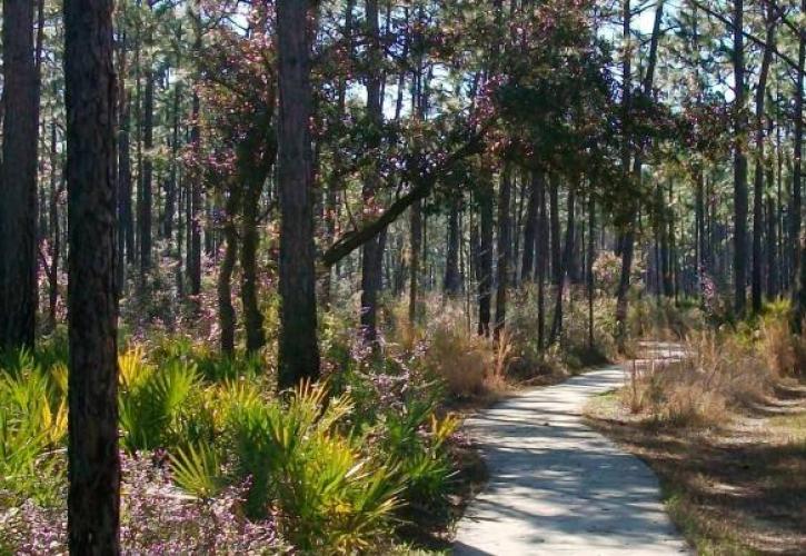 Tarkiln Bayou Accessible Trail