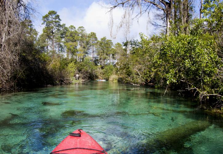 Weeki Wachee Springs State Park Reviews