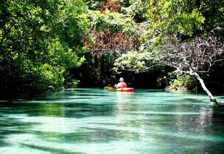 Weeki Wachee Springs State Park | Florida State Parks