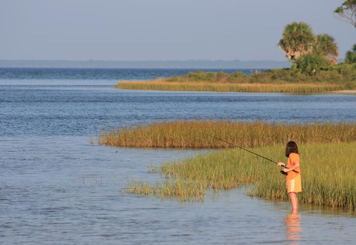 T H Stone Memorial St Joseph Peninsula State Park Florida