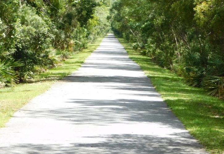 walking, hiking, exploring, biking