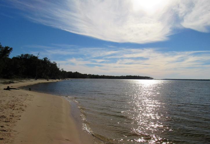 Tarkiln Bayou Preserve State Park 