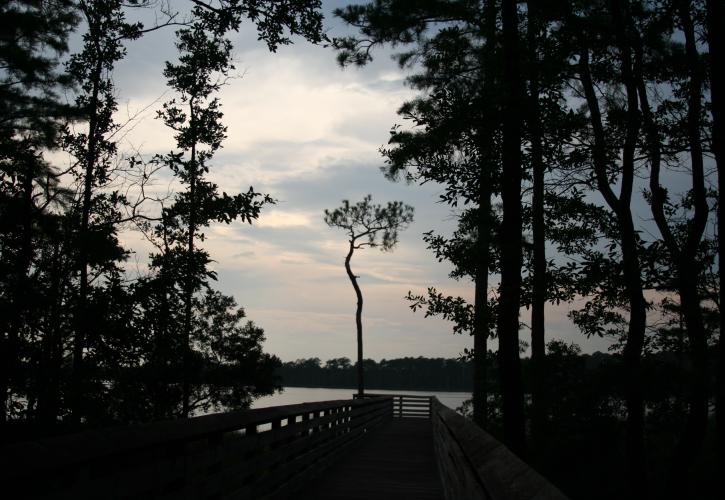 Tarkiln Bayou Preserve State Park