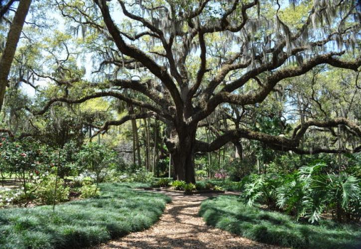 Washington Oaks Gardens State Park Florida State Parks