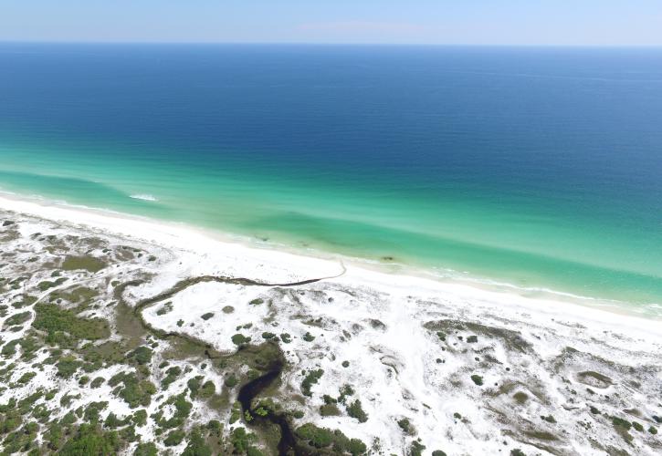 Topsail Hill Preserve
