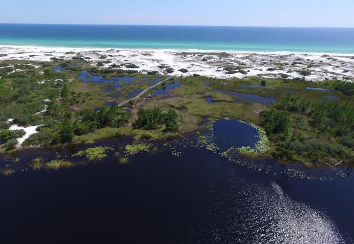 Topsail Hill Preserve