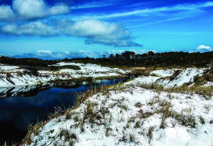 Coastal marsh with dunes on either side