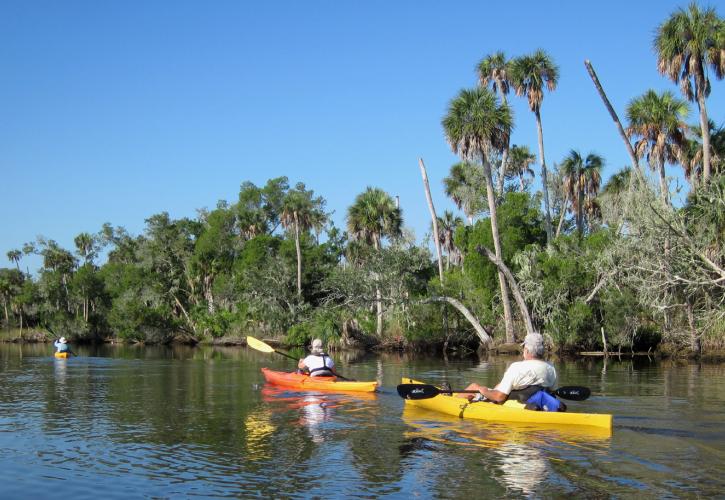Escape to Serenity: Waccasassa Bay Preserve State Park - Your Florida Oasis
