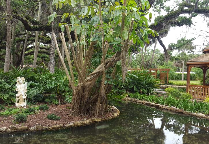 Washington Oaks Gardens State Park Florida State Parks