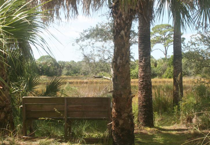 Bench overlooking marsh.