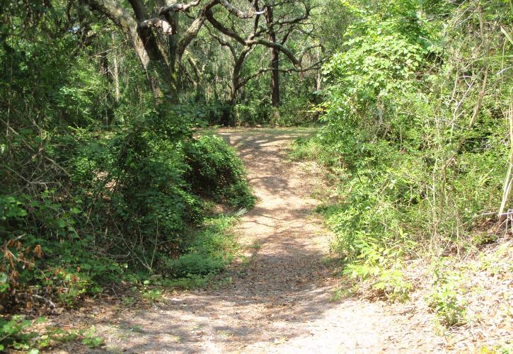 Yellow Bluff Fort Hiking Trail