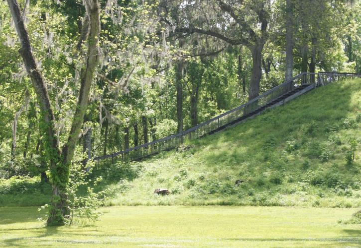 view of mound