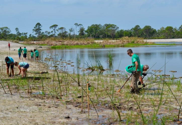 Big Lake Restoration Project