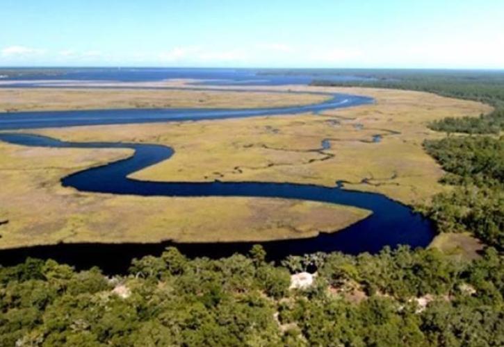 A channel winds through the marsh at Ochlockonee Bay.