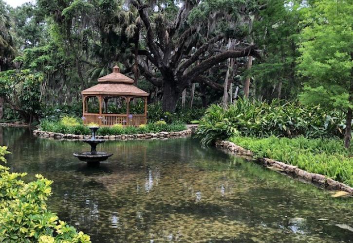 Washington Oaks Gardens State Park Florida State Parks