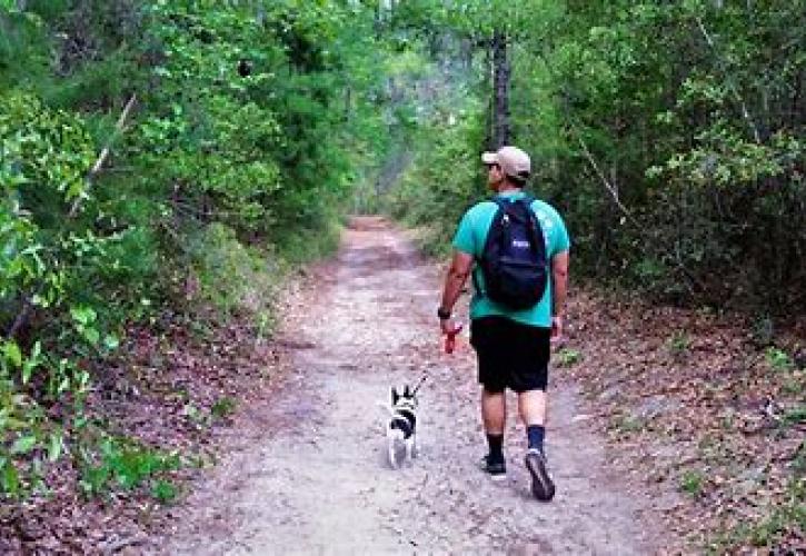 San Felasco Hammock Hiker with Dog