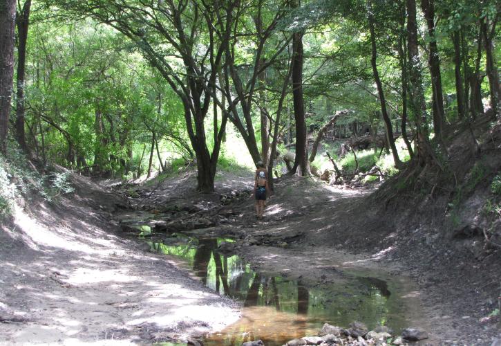 Suwannee River Wilderness
