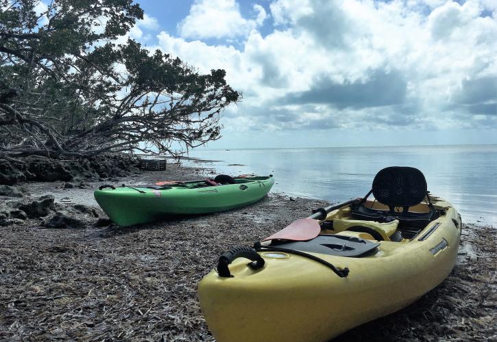 Kayaks at Indian Key