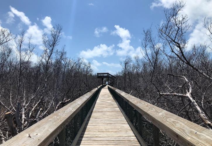 A view of the damage around the boardwalk.