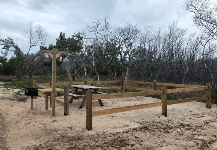 A current view of the picnic area.