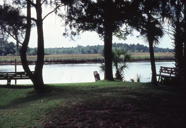 View of Wakulla River