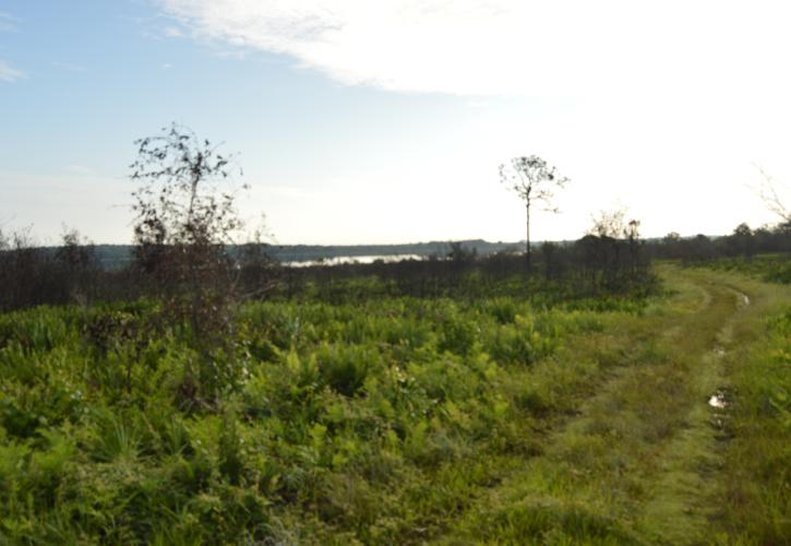 Lake Manatee State Park