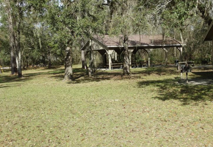 a wooden pavilion sits amidst trees in an open grassy area