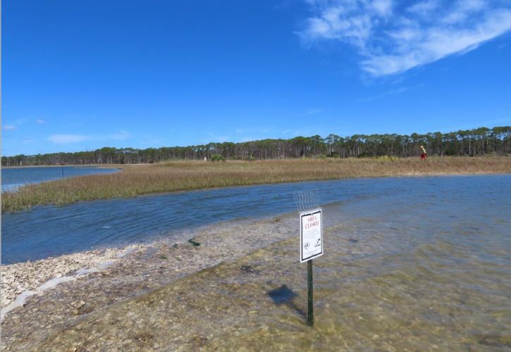 An Area Closed sign is posted to prevent human disruption in the habitat. Wires are mounted on top of the sign to prevent perching by raptors.