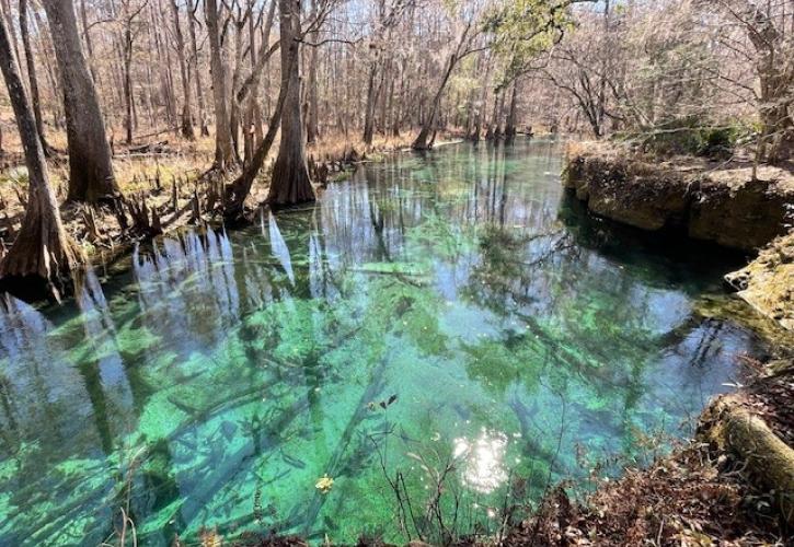 Clear water at Ichetucknee