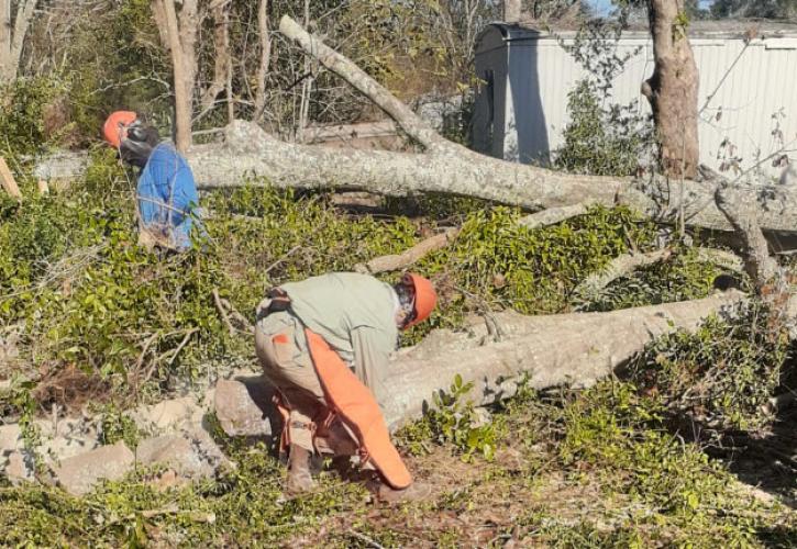 Two FLCC members work to saw a huge water oak that fell between two houses.