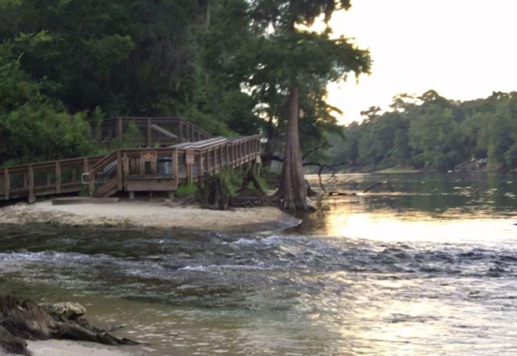 a river flows swiftly past a boardwalk on the banks