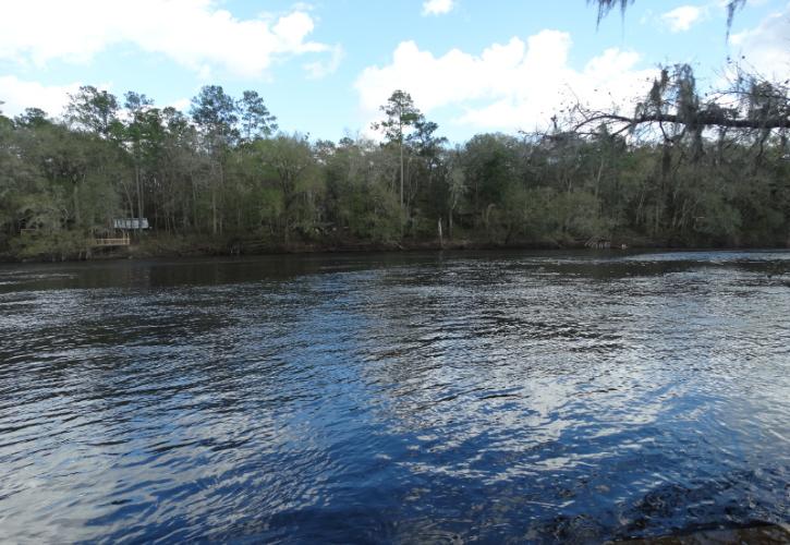 a blue high water river flows past trees